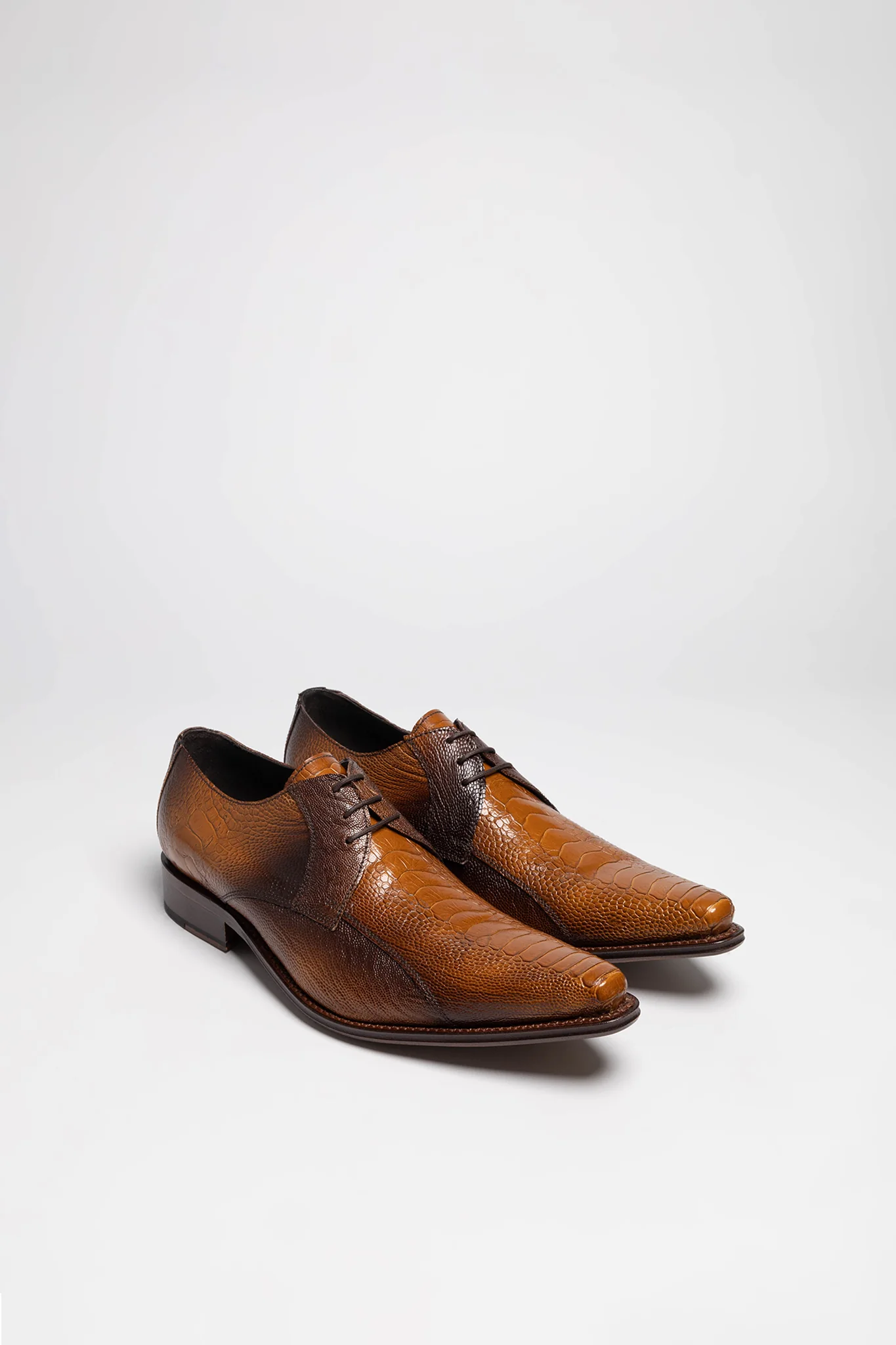 7965A BIOSCA Herren Braun