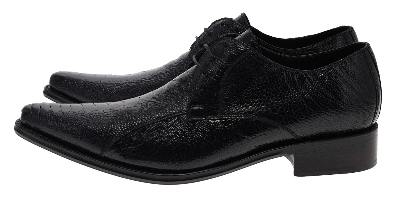 7965A BIOSCA Herren Schwarz - Image 5