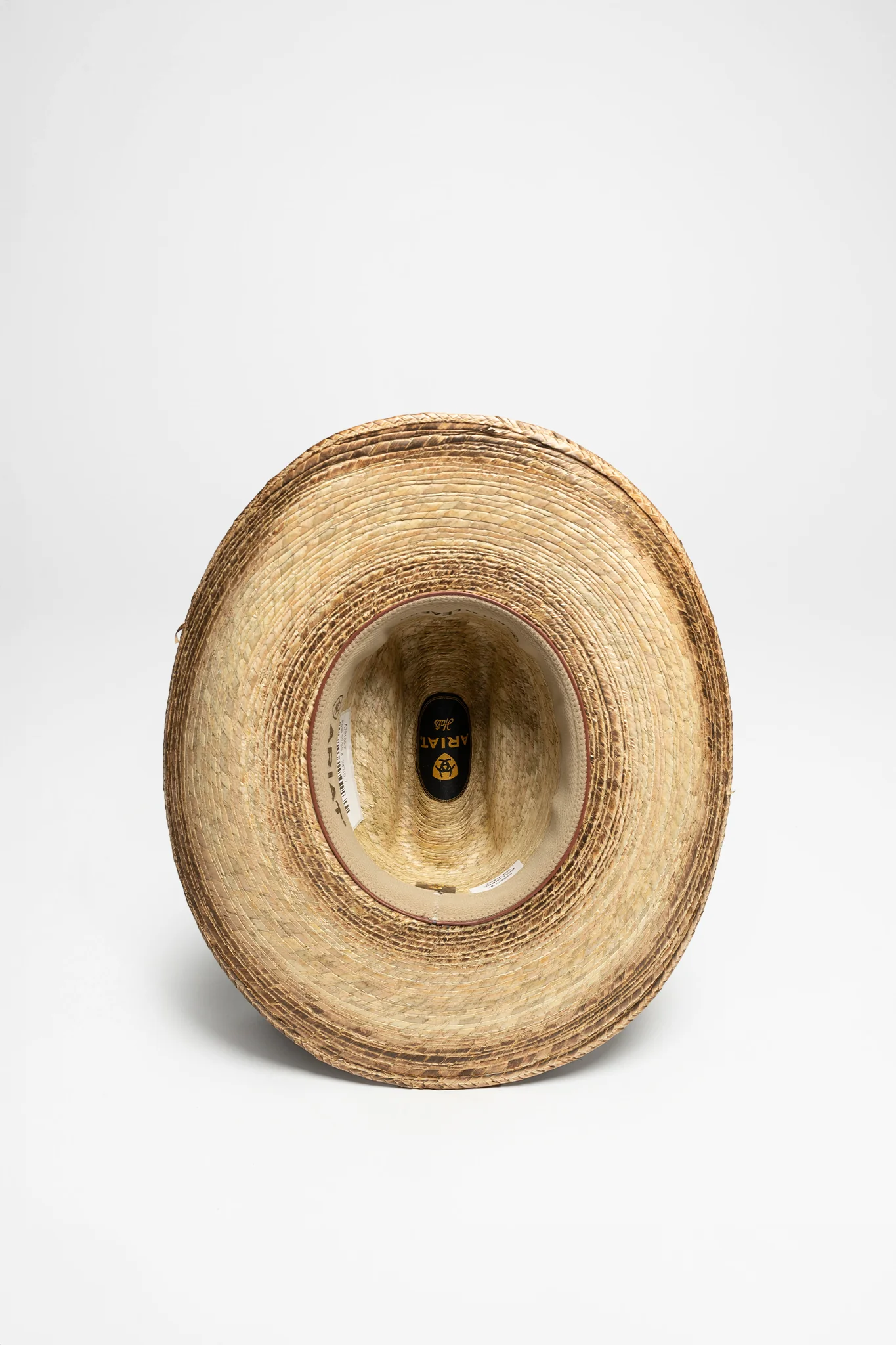 FIRED PALM Beige - Image 3